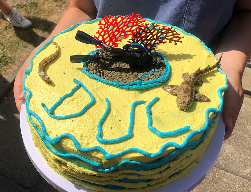 DUC-Torte